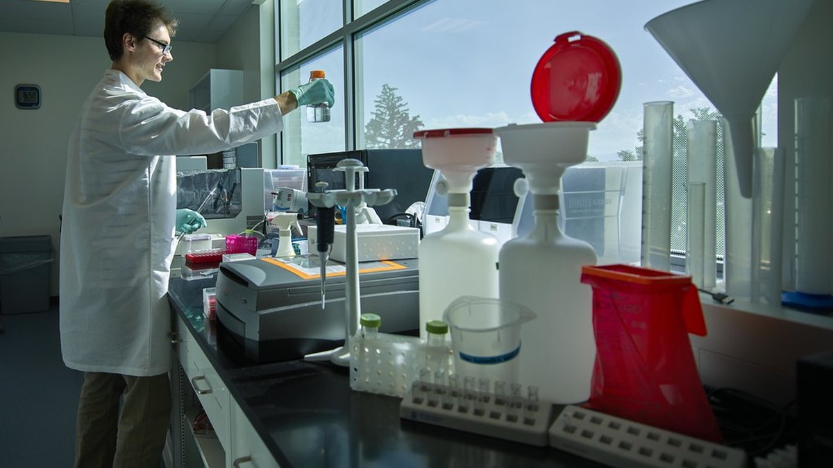 Cell work in the laboratory — the regenerative-medicine end of stem cell research and development; a Panacea Bio Chem programme dossier by Bogdan Dicoias